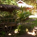 forrest-camp-dumaguete-city-11