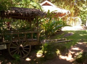 forrest-camp-dumaguete-city-11