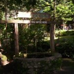 forrest-camp-dumaguete-city-12
