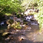 forrest-camp-dumaguete-city-13
