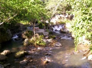 forrest-camp-dumaguete-city-13