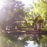 forrest-camp-dumaguete-city-4