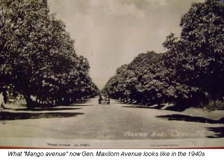 picture-of-old-mango-avenue